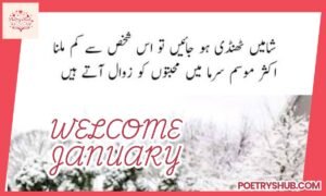 150+ January Poetry in Urdu Text – Romantic, Sad, Love & New Year Shayari Collection
