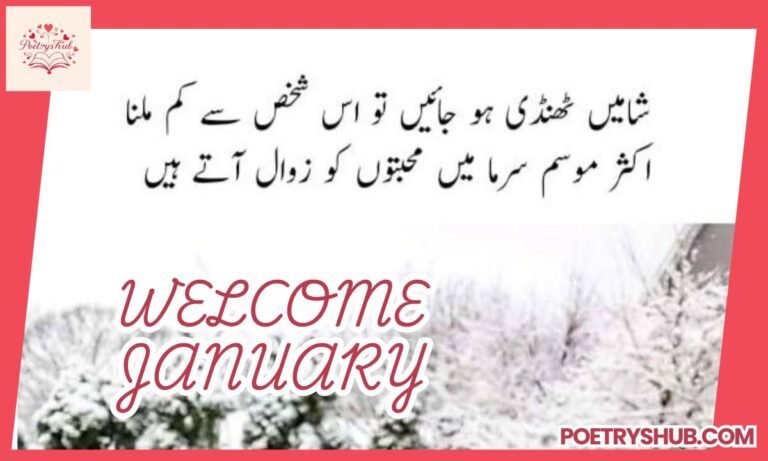 150+ January Poetry in Urdu Text – Romantic, Sad, Love & New Year Shayari Collection