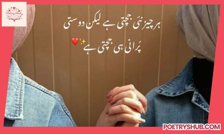 50+ Best Friend Quotes In Urdu