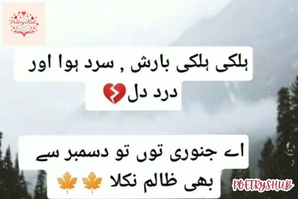 Lonely January Shayari