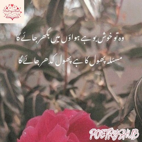 Short Two Line Flower Poetry for Status and SMS