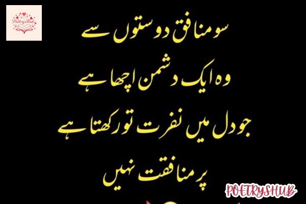 Munafiq Dost Poetry – Fake Friends 2 Lines