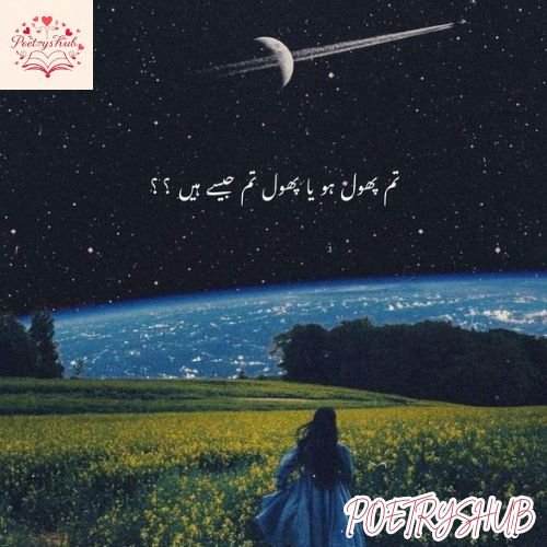 Top Flower Poetry in Urdu