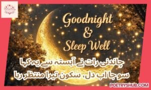 100+ Beautiful Good Night Poetry in Urdu – Sweet Words for Peaceful Sleep