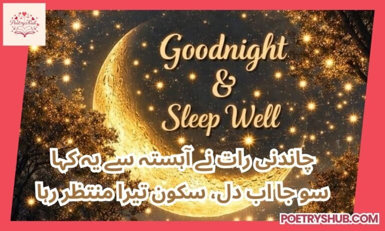 100+ Beautiful Good Night Poetry in Urdu – Sweet Words for Peaceful Sleep