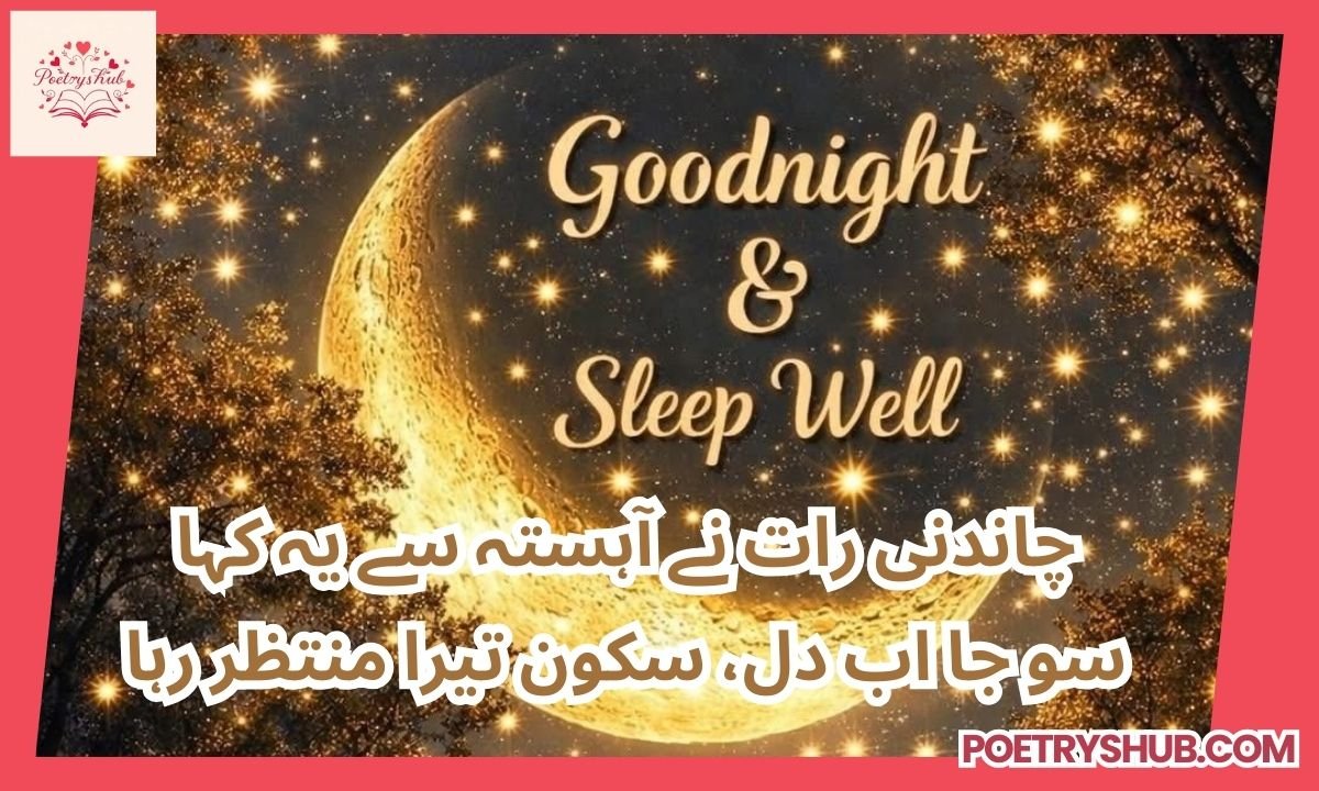 100+ Beautiful Good Night Poetry in Urdu – Sweet Words for Peaceful Sleep