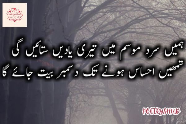 2 Lines December Shayari in Urdu