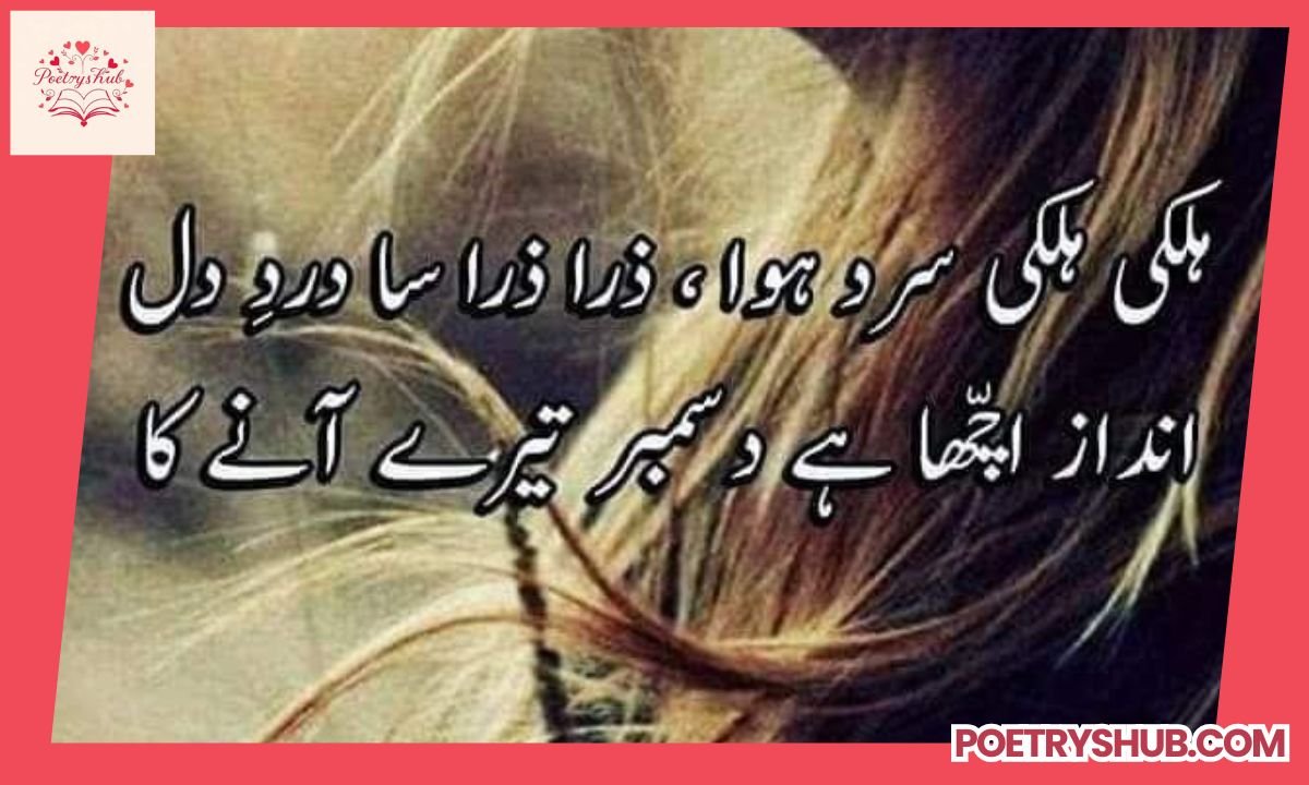 250+ December Poetry In Urdu Text – Best 2 Lines Shayari Collection