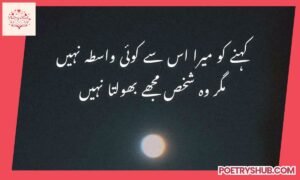 80+ Heart Touching Quotes Urdu That Express Deep Pain and Truth