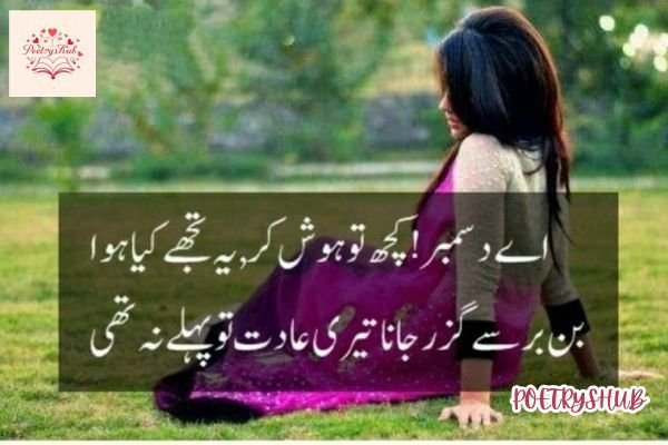 Best 2 Lines December Shayari in Urdu