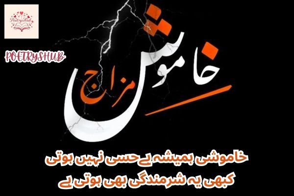 Sorry Poetry 2 Lines in Urdu